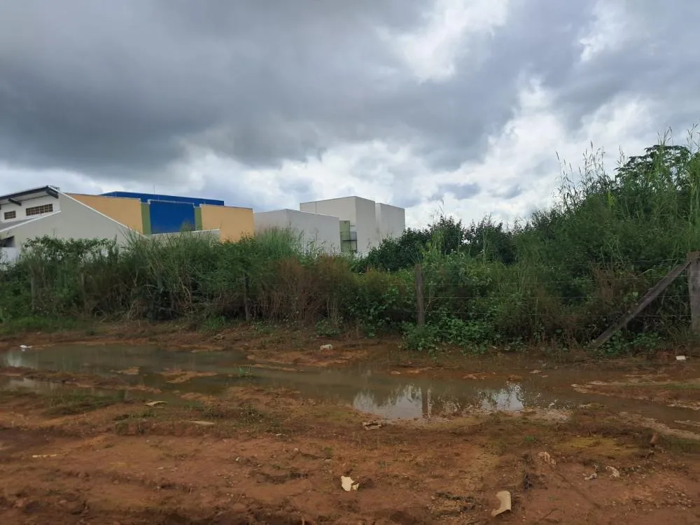 TERRENOS BALDIOS E IMÓVEIS ABANDONADOS GERAM RISCO SANITÁRIO E URBANÍSTICO EM GUAJARÁ-MIRIM E LEVANTAM QUESTIONAMENTOS SOBRE RESPONSABILIDADE LEGAL