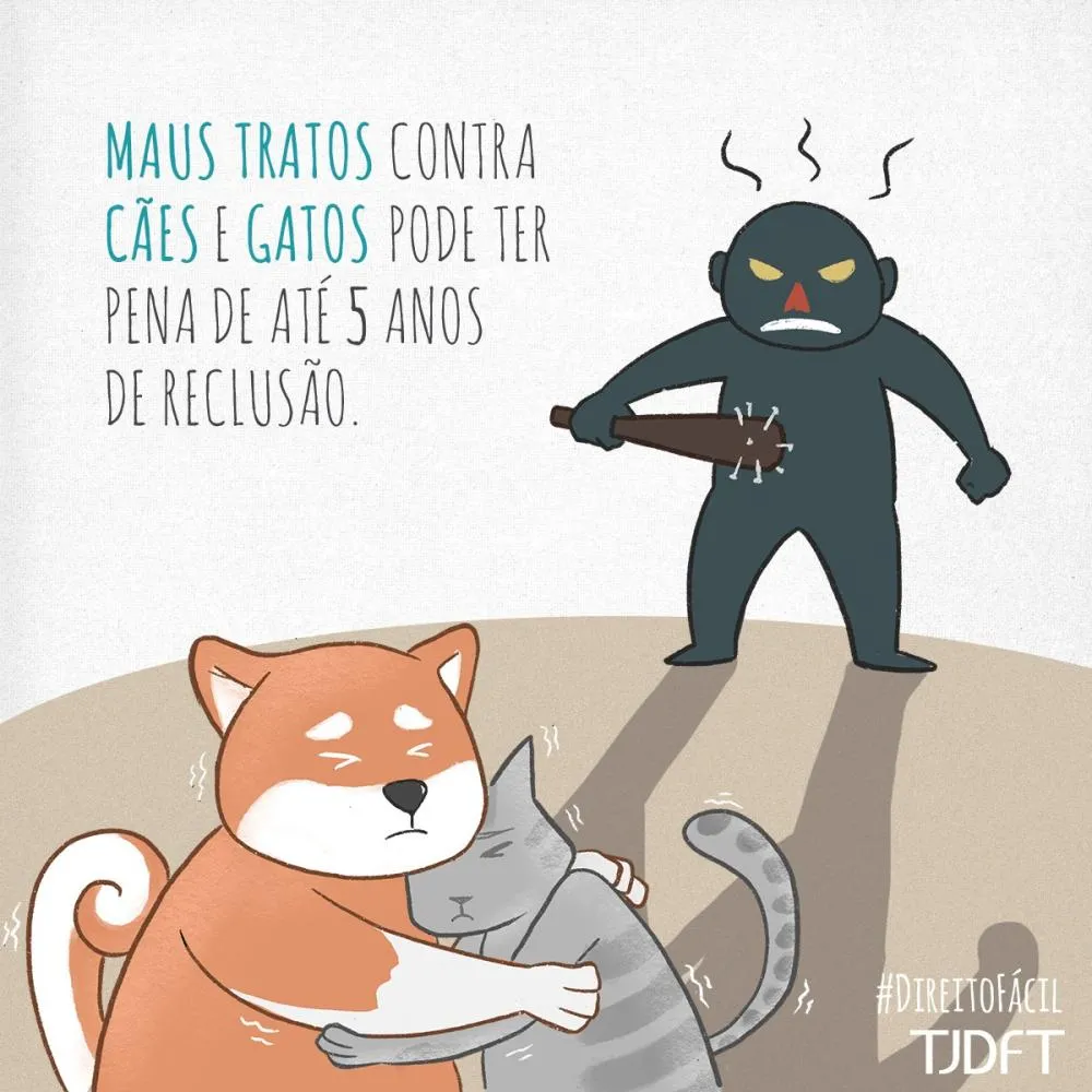 MORADORES DENUNCIAM SUPOSTO EXTERMÍNIO DE CÃES NA REGIÃO DA COMARA E COBRAM APURAÇÃO DAS AUTORIDADES