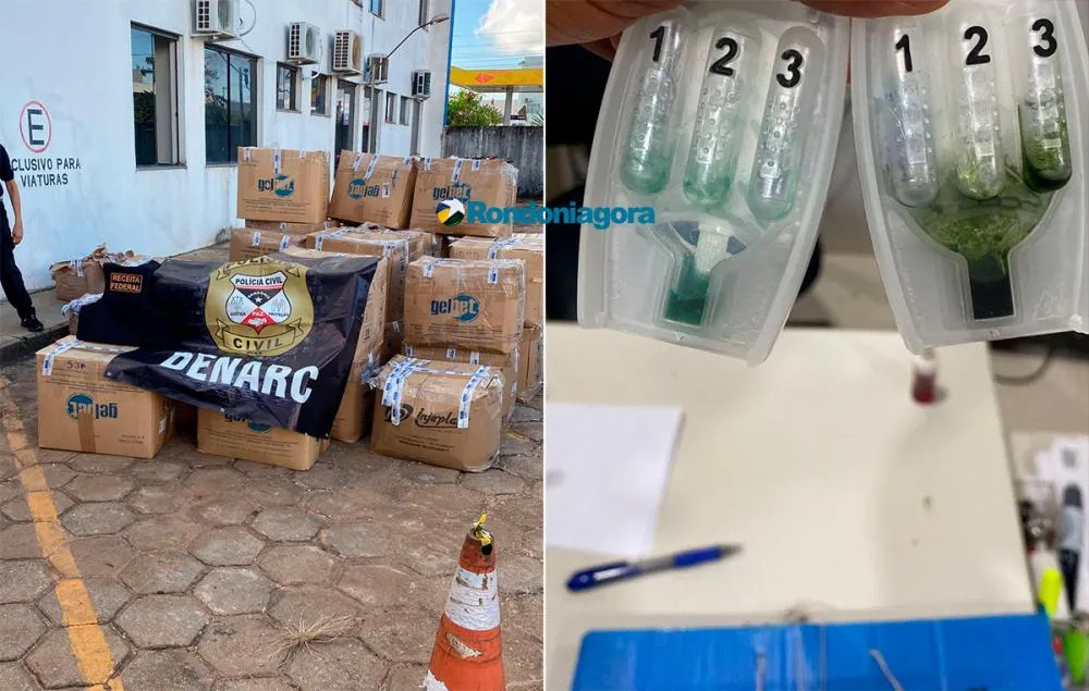 Denarc e Receita Federal apreendem carga com 10 mil frascos de subprodutos de cocaína na BR-364