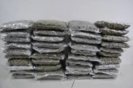 PF apreende entorpecente em área de fronteira em Guajará-Mirim
