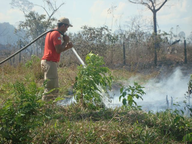 Incêndio destrói vários hectares de mata e fumaça atrapalha o tráfego na BR 425 - Fotos