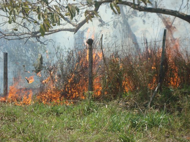 SEMMA ALERTA SOBRE QUEIMADAS