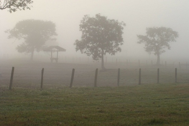 SIPAM indica leve friagem para Rondônia