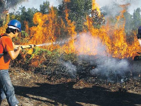 Incêndio na área da aeronáutica destrói vegetação