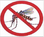 Plano de prevenção - MP INSTAURA INQUÉRITO CIVIL PARA APURAR COMBATE À DENGUE EM GUAJARÁ E NOVA MAMORÉ