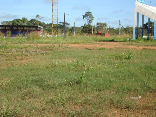 BUMBÓDROMO É DINHEIRO JOGADO PELO RALO