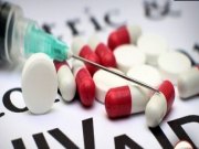 'Vacina brasileira contra a Aids será testada em macacos