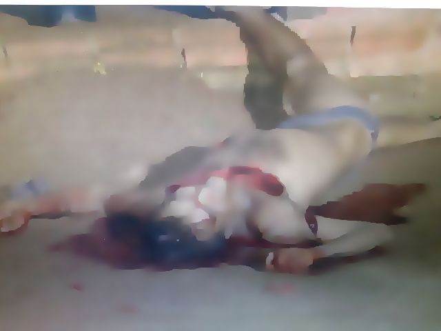 BRUTAL - Sitiante é assassinado com golpes de facão; família estava sob ameaça de morte