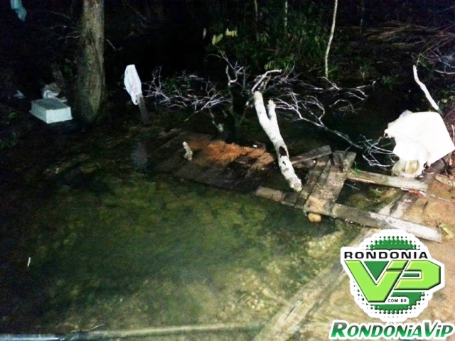 Grávida de 7 meses morre ao ser atingida na cabeça por galho de árvore