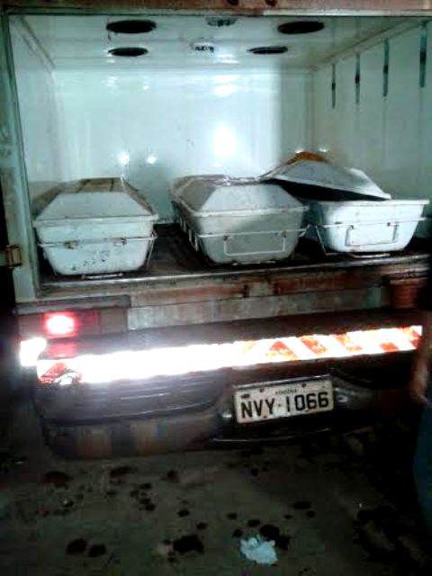 Polícia Federal escolta corpos encontrados em Humaitá para Porto Velho - FOTOS