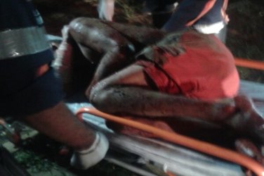 Homem é amarrado em árvore e brutalmente espancado