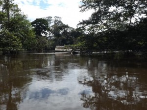 RIO MAMORÉ DEVE VOLTAR AO NORMAL ATÉ SETEMBRO
