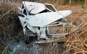 Animal na pista faz vítima fatal