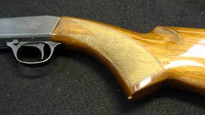 SITIANTE TEM SEU RIFLE FURTADO DO INTERIOR DE SUA RESIDÊNCIA