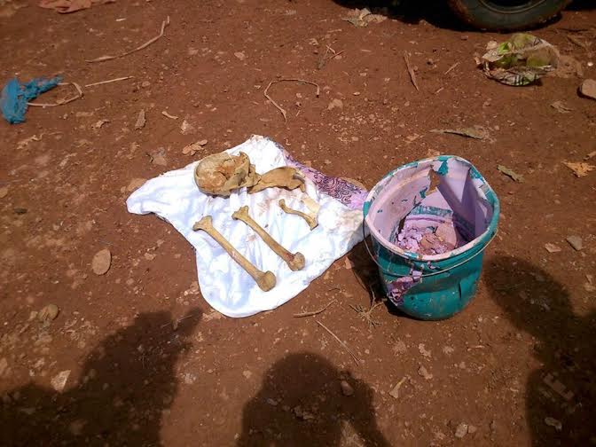 Morador encontrada ossada humana em terreno na Vila Princesa